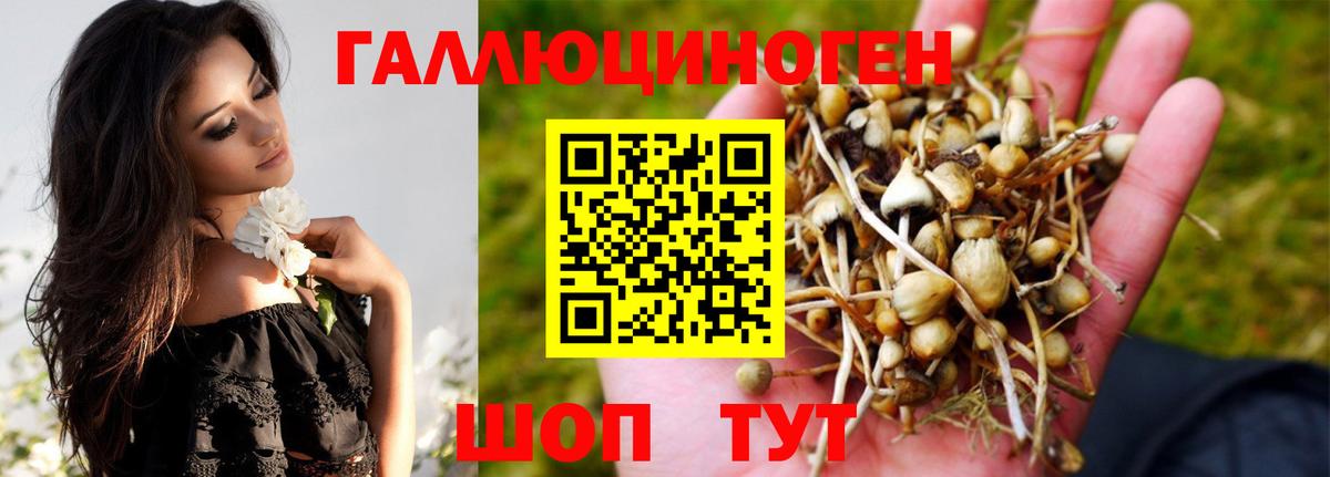 Муром  Галлюциногенные грибы мухоморы  Псилоцибиновые грибы прущие грибы  Вход с VPN 