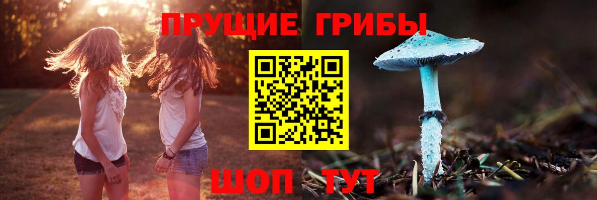 Псилоцибиновые грибы ЛСД Муром